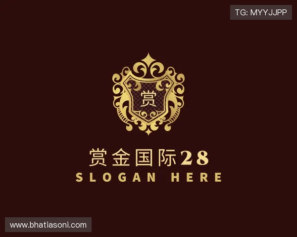 介绍赏金国际28